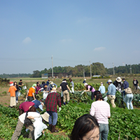 茨城県つくば市野菜収穫体験イベント